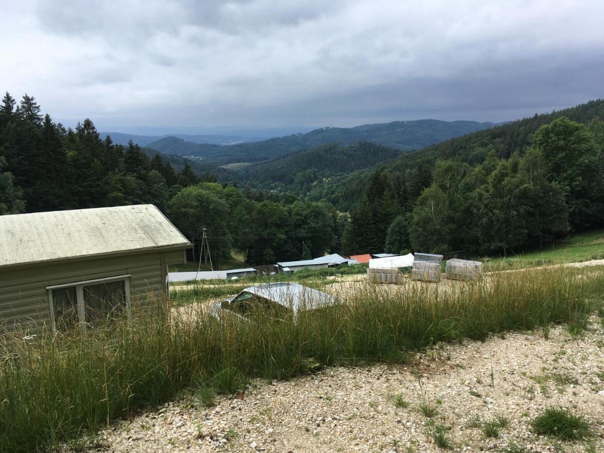 Blick Hotel Ladek-Zdroj Luaran gambar